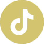 Tiktok icon