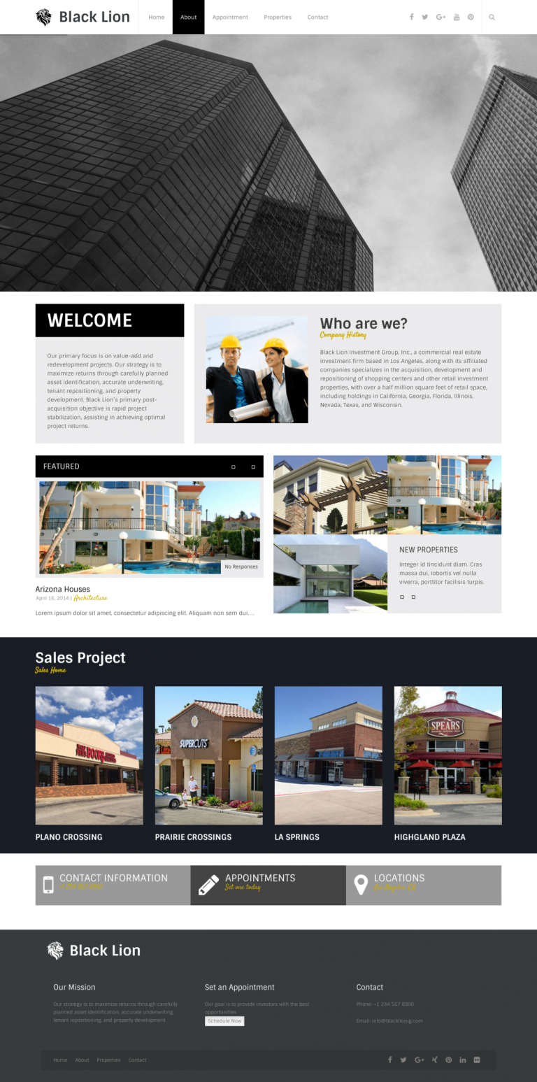 Black Lion Investment Group