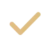 check icon